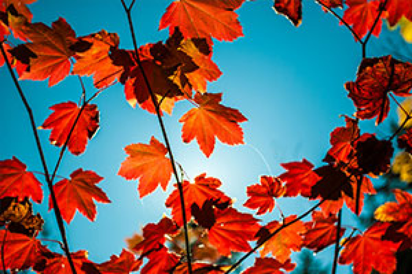 Hösten är bästa tiden att bygga pool!